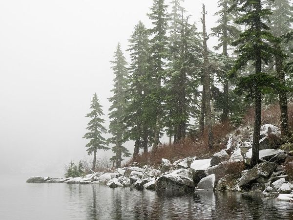 Wild, Jamie and Judy 아티스트의 Washington State-Central Cascades Mason Lake작품입니다.
